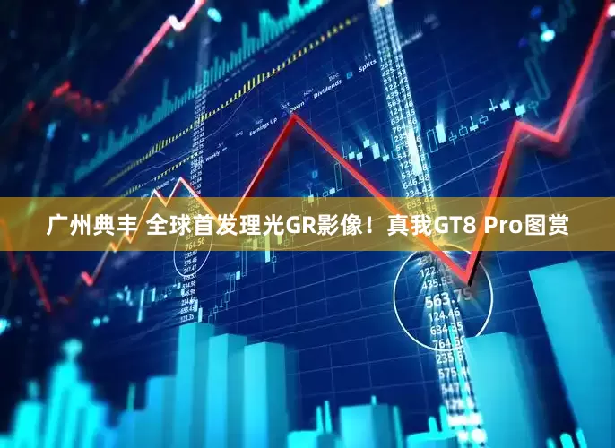 广州典丰 全球首发理光GR影像！真我GT8 Pro图赏