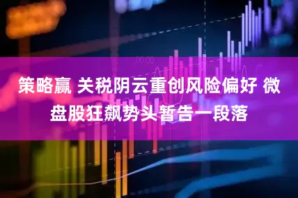策略赢 关税阴云重创风险偏好 微盘股狂飙势头暂告一段落