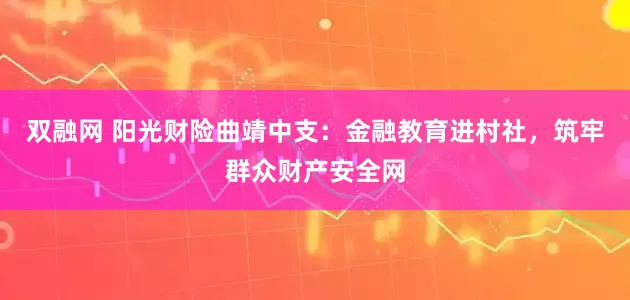 双融网 阳光财险曲靖中支：金融教育进村社，筑牢群众财产安全网