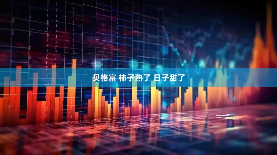 贝格富 柿子熟了 日子甜了